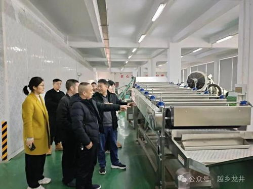 俞燎遠研究員深入嵊州調研，為茶產業技術推廣與升級把脈開方